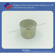 Disc Magnet Neodymium Magnets for Motor/ Customized Magnet